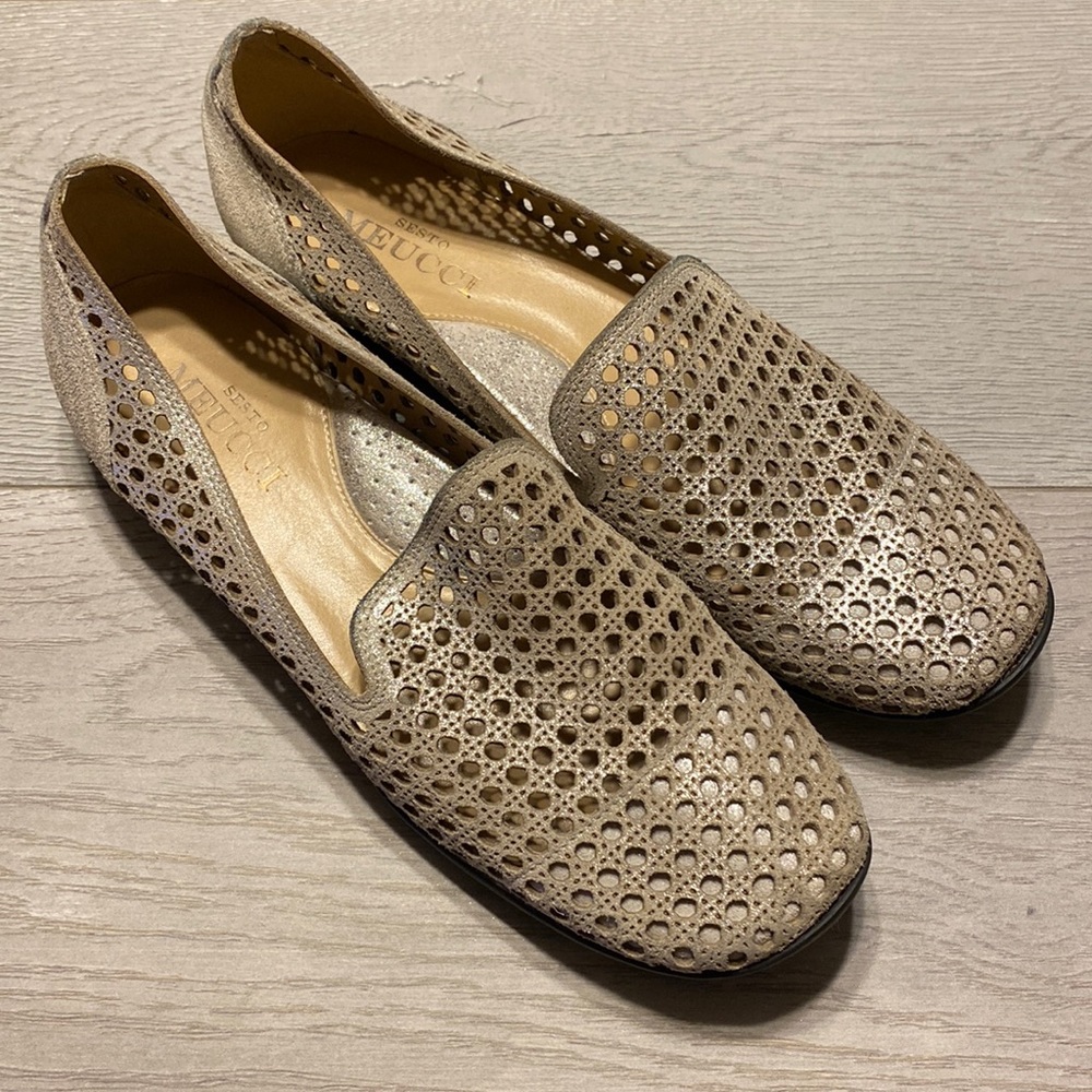 Sesto Meucci flats